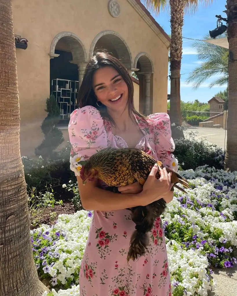phong-cach-cottagecore-kendall-jenner-2